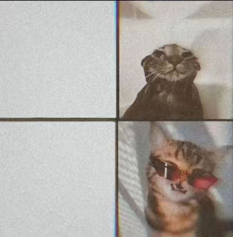 A 2x2 grid featuring images of cats on a white background. The top-right and bottom-right quadrants contain the cat images. The top-right one features a cat looking up with a slightly grumpy expression. The bottom-right image displays a cat wearing sunglasses and a red flower, exuding a cool vibe. The top and bottom left quadrants are empty.