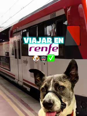 The cover image features a dog against the backdrop of a train station. The dog, wearing a harness, is the focal point, centered in the frame with its head and upper body visible. The background shows a train with red and white accents and a station platform. Overlay typography includes the phrase "VIAJAR EN renfe" with additional icons and branding elements.