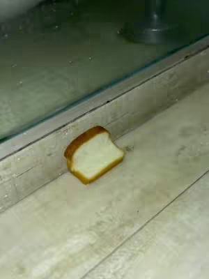 A slice of bread rests on a light-colored surface, next to a mirrored or glass pane. The bread is golden-brown on the crusts and a creamy white in the soft center.