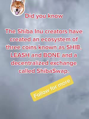 The image is a vertical graphic with a light-blue to gray gradient background. At the top, a sticker of a Shiba Inu dog's head is placed on the left side and is looking to the right. Middle of the image has the text in red, 'Did you know' and a paragraph describing about the coins. At the bottom a yellow rectangle that has text 'Follow for more'