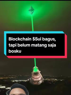 The cover image is a nighttime scene with a dark background and a city skyline in the distance. A cartoonish representation of an Ethereumm coin is emitting a green laser beam. The laser beam goes towards a cartoonish walrus-like creature. On top of the walrus, there is a neon text overlay. A part of the face of the creator is shown in the bottom left corner as well.
