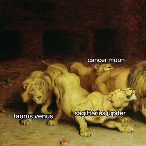 An artistic depiction of several lions, each labeled with astrological terms. The lions are painted in warm, earthy tones, creating a classic, somewhat faded appearance. The composition suggests a symbolic representation of astrological concepts.