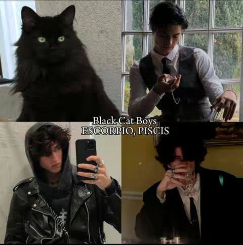 A grid of four images. Top left shows a black cat with green eyes. Top right shows a man in a vest and tie. Bottom left shows a man in a black jacket and a hoodie taking a selfie. Bottom right shows a man in a suit. Text overlayed at the center as Black Cat Boys and Escorpio, Piscis