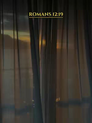 The image showcases a vertical composition featuring a dark, textured background possibly representing curtains or a similar fabric. The primary color palette is muted and earthy, with shades of brown and gray dominating the scene, which hints at an overcast or interior lighting condition. In the top center, the text, 'ROMANS 12:19' is written in a gold serif typeface.