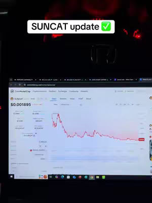 A laptop screen is the primary focus, displaying a cryptocurrency chart from CoinMarketCap. The chart shows a downward trend in red against a white background within the CoinMarketCap interface. Above the screen, the text "SUNCAT update" is displayed within a white rectangle, accompanied by a green checkmark, all against a dark background.