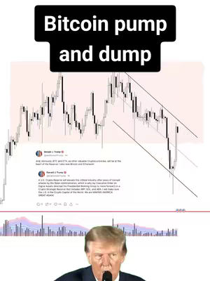 The cover image shows a financial analysis, with an overlaid text at the top that says 'Bitcoin pump and dump'. Below that, a chart depicting Bitcoin's price movements is shown along with a screenshot of a Donald Trump tweet related to Bitcoin. A moving waveform is at the bottom and a picture of Donald Trump is in the very bottom section, as if he is speaking into a microphone.
