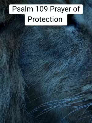 The image showcases a close-up view of what appears to be a textured surface, possibly fur or fabric. The color palette is dominated by shades of blue, with variations creating depth and texture. Positioned at the top is text overlaying a white background, contrasting the darker background.
