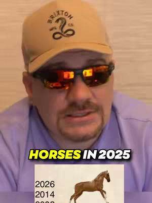 The cover image features a man wearing sunglasses, a baseball cap, and a purple shirt. Text on the image indicates the video discusses the Chinese zodiac sign 'Horses' in 2025.