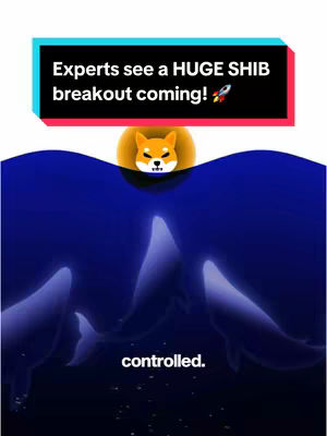 The cover image is a visually striking vertical graphic. It features a deep blue background with three whale-like figures floating upwards; their bodies are partially illuminated, creating a sense of depth and mystery. Above these figures, positioned in the mid-ground, is a stylized Shiba Inu head logo, placed against a yellow circular backdrop. The top portion of the image has a black and cyan rectangular bar containing the text: Experts see a HUGE SHIB breakout coming! with a rocket ship graphic at the end. Beneath the whales, in a smaller font, the word "controlled." is visible. The overall composition is clean and modern, with a focus on the Shiba Inu cryptocurrency.
