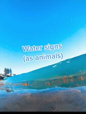 A vibrant, vertically-oriented shot shows a blue sky blended with a turquoise wave. The wave is angled diagonally across the frame, with the sky taking up the top section. In the lower part of the wave, there's a sandy beach. White text overlays on the image, is centered, readable, and in a rounded font.