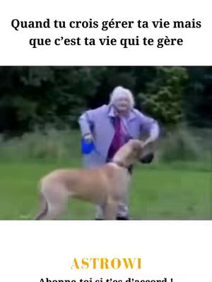 An elderly woman in a purple outfit struggles to control a large dog on a leash, set in a green field with trees in the background. Text overlays at the top and bottom.