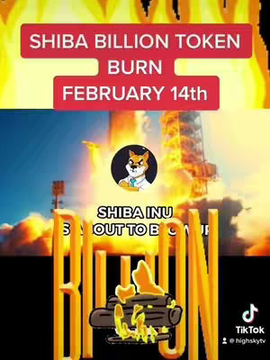 The cover image is a vertical graphic featuring text overlays and imagery related to Shiba Inu cryptocurrency. At the top, a vibrant red rectangular banner displays the text 'SHIBA BILLION TOKEN BURN' in white, bold font. Below, a similar banner states 'FEBRUARY 14th'. In the central area, an image of a cartoon Shiba Inu dog in a circle against the background of a rocket launch with flames and smoke. Beneath is a yellow, stylized illustration spelling out the word 'BURN' with flame and log images. The overall color scheme includes red, yellow, orange, blue, and black, creating a dynamic and attention-grabbing effect. In the bottom right corner, a TikTok logo is shown.