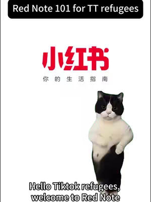 The cover image has a white background and text at the top and bottom. In the center is the logo for the app Xiaohongshu, beneath which is a standing cat with a black and white coat. The cat is posed like it's a person with its arms behind its waist.