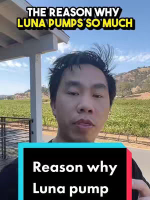 A man stands outdoors, framed from the chest up, against a background of a field and blue sky. A text overlay at the top states, 'THE REASON WHY LUNA PUMPS SO MUCH', with a colored bar at the bottom. The man appears to be speaking, likely explaining the concept.