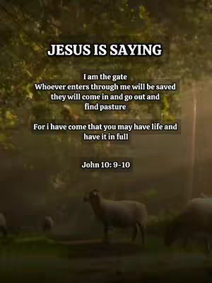 The image shows a serene outdoor scene with text overlaid. The background has blurred green foliage with shafts of light coming through. Several sheep are in the foreground, with one prominently in the center. The text features a quote from the Bible, with the phrase "JESUS IS SAYING" at the top.