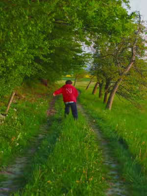 A vibrant outdoor scene with a dirt path running through lush green grass. A person in a red jacket walks away from the camera, towards the open sky bathed in sunlight.
