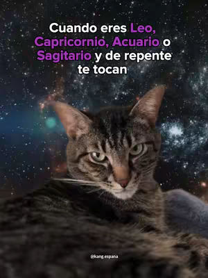 A cat is the central figure, set against a cosmic background of swirling blues, purples, and stars. Text overlays are in white and purple fonts, referencing zodiac signs. The cat has a focused expression under the text, with a hint of amusement in its eyes.
