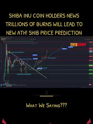 The cover image has a dark background. The text overlayed in yellow font at the top says "SHIBA INU COIN HOLDERS NEWS TRILLIONS OF BURNS WILL LEAD TO NEW ATH! SHIB PRICE PREDICTION". Below the text there is a technical chart showing a line graph and some lines that illustrate different support and resistance levels. At the bottom, there is the text "WHAT WE SAYING???"