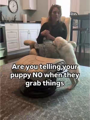 A woman sits in an armchair while a small, light-colored puppy stands next to her, appearing to reach towards her. The setting is a home, with a kitchen visible in the background. The lighting is natural, and the overall composition is focused on the interaction between the woman and the puppy.