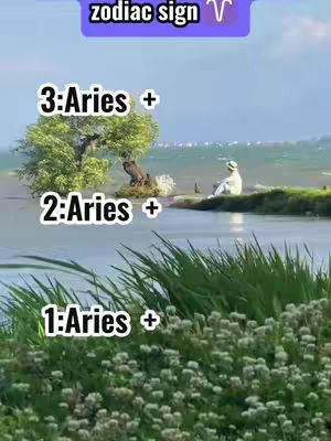 The image is a split-screen showing a lake scene at different points, each with text overlays. The top section features a purple banner that reads, 'zodiac sign'. The sections below show a body of water with greenery, and a figure of a person sitting on the banks. Other elements include trees and flowers, and the text 'Aries +'. The layout is designed to sequentially display content.