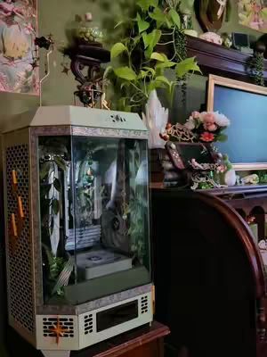 A gaming PC setup is showcased in a room with a dark green wall. The PC, displayed in a clear case, is surrounded by plant life and displayed on a wooden cabinet. Accompanying the PC is a monitor, and additional decorative elements and other objects adding to the cozy atmosphere.