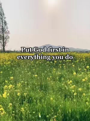 A scenic outdoor shot featuring a field of yellow flowers with a backdrop of mountains under a clear sky. The sun is visible at the top.