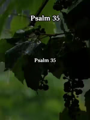 A vertical image captures a close-up of a lush, green plant, possibly grapevines, with dark green leaves clustered around a central frame. Raindrops are visible, blurring the background in a soft, out-of-focus state. The words "Psalm 35" in a clean, white font are overlaid on the image twice, once at the top and again towards the bottom, drawing attention to the video's theme.
