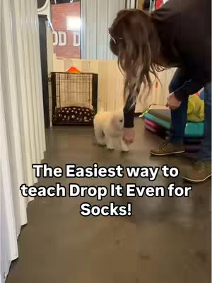 A woman is in a bright, clean space with a puppy. She is bending down, and the puppy is walking toward her. Text is overlaid at the bottom.