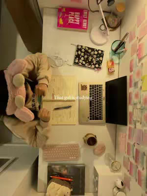 A top-down view of a study desk filled with books, a laptop, and other study materials. The main focus is on the objects and the person studying, who is partially visible with a pink stuffed animal resting on their shoulder. The scene is brightly lit and well-organized, giving a feeling of a productive study environment. The color scheme is generally warm, with pinks, browns, and whites dominating. The overall composition is tidy and inviting, designed to show a studious and focused atmosphere.
