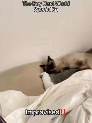 The image shows a cat reclining on a bed with white sheets and pillows. Text overlays are present at the top and bottom of the image.