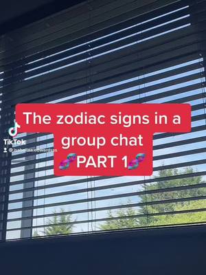 The cover image shows a view through a window with horizontal blinds, partially obscuring the background of trees and sky. A red rectangle overlay is positioned in the center, containing the text 'The zodiac signs in a group chat PART 1' in white text. The TikTok logo is faintly visible in the lower left corner.