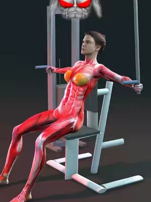 The image showcases a digitally rendered female figure engaged in a chest press exercise. The figure's body is overlaid with a detailed anatomical rendering of the muscular system, highlighting the chest muscles in red and the breasts in an amber hue. She is seated on a weight machine, her arms extended to push the handles. Above her hovers a translucent anatomical diagram that focuses on the chest muscles.