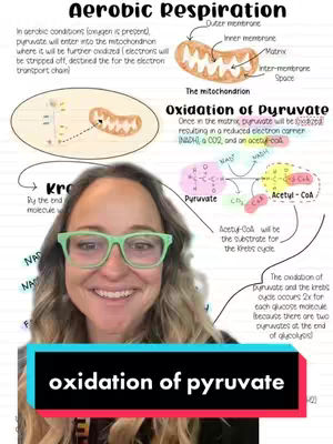 The cover image features a woman wearing green glasses smiling at the camera. The background displays a detailed diagram about aerobic respiration and oxidation of pyruvate, with colorful illustrations and explanatory text. A black rectangle displays the text overlay 'oxidation of pyruvate'.