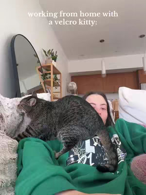 A woman wearing a green hoodie is holding a grey tabby cat while sitting on a couch. The background has a mirror, a wooden shelf with plants, and a window. The image has a casual, indoor setting.